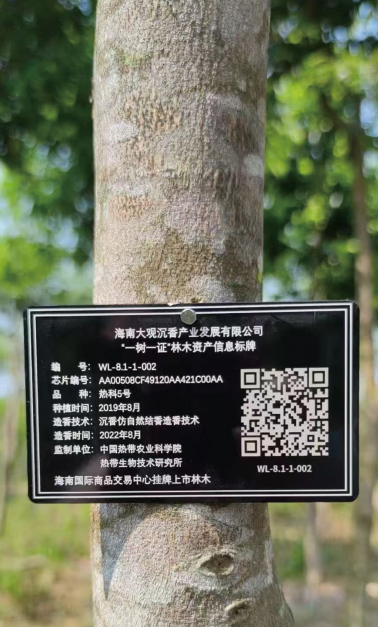 1765272306459275.png
